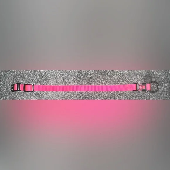 🎉HOST PICK 🎉 Hot Pink Dog Collar - Picture 3 of 7